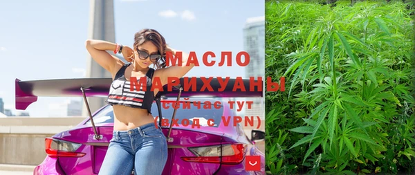 дмт Осинники