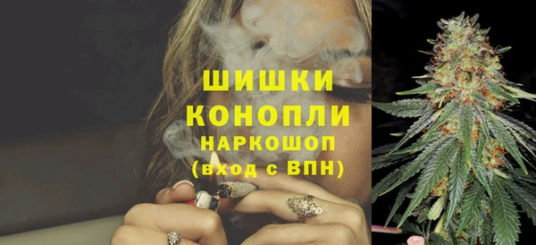дмт Осинники