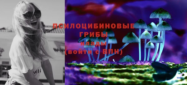 СК Остров