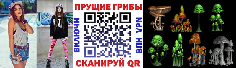 цены   Электроугли  Галлюциногенные грибы мухоморы 